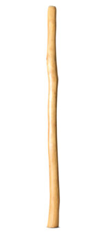 Natural Finish Didgeridoo (TW1495)